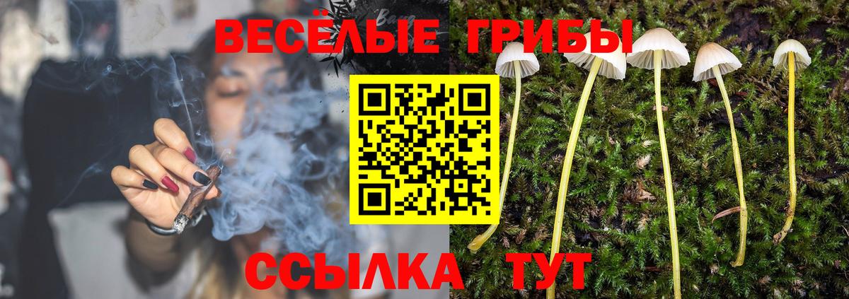 Галлюциногенные грибы мухоморы Ипатово